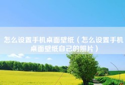 怎么设置手机桌面壁纸（怎么设置手机桌面壁纸自己的照片）