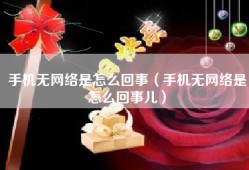 手机无网络是怎么回事（手机无网络是怎么回事儿）