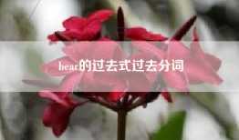 bear的过去式过去分词