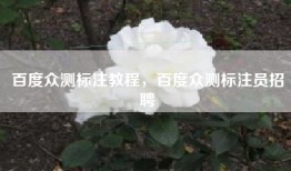 百度众测标注教程，百度众测标注员招聘