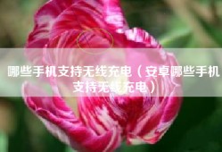 哪些手机支持无线充电（安卓哪些手机支持无线充电）