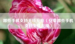 哪些手机支持无线充电（安卓哪些手机支持无线充电）