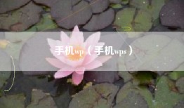 手机wp（手机wps）