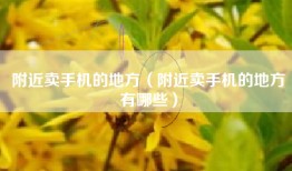 附近卖手机的地方（附近卖手机的地方有哪些）