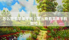 怎么查看苹果手机（怎么查看苹果手机型号）