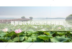 离婚协议书自己写还是到领取
