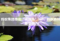 蚂蚁集团推出“碳矩阵”SaaS，蚂蚁森林要变现？