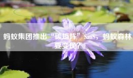 蚂蚁集团推出“碳矩阵”SaaS，蚂蚁森林要变现？