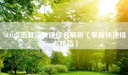 SEO点击算法快速排名解析（掌握快速排名技巧）