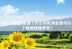 什么手机浏览器（什么手机浏览器可以下载视频播放器）