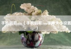 手机唱歌app（手机唱歌app字体大小设置）