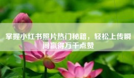 掌握小红书照片热门秘籍，轻松上传瞬间赢得万千点赞