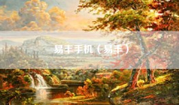 易丰手机（易丰）