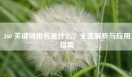 360 关键词排名是什么？全面解析与应用指南