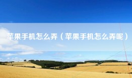 苹果手机怎么弄（苹果手机怎么弄呢）