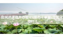 如何迅速提升百度SEO排名（掌握6个优化技巧）