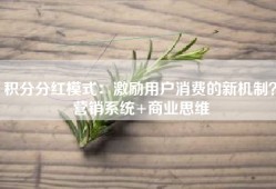 积分分红模式：激励用户消费的新机制？营销系统+商业思维