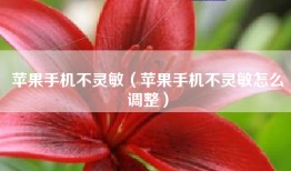 苹果手机不灵敏（苹果手机不灵敏怎么调整）