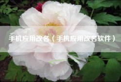 手机应用改名（手机应用改名软件）