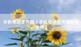 手机电话变声器（手机电话变声器软件免费）