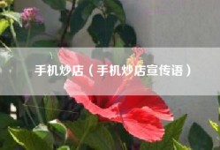 手机炒店（手机炒店宣传语）