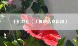 手机炒店（手机炒店宣传语）