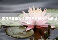 苹果手机进灰（苹果手机进灰尘有影响吗）