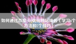 如何通过百度SEO优化网站排名（学习6个方法和7个技巧）