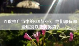 百度推广当中的SEM与SEO，他们都有哪些区别以及优劣势？