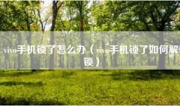 vivo手机锁了怎么办（vivo手机锁了如何解锁）