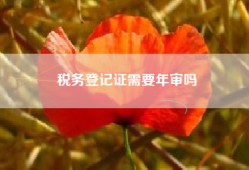 税务登记证需要年审吗