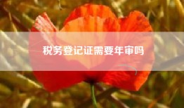 税务登记证需要年审吗