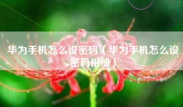 华为手机怎么设密码（华为手机怎么设密码相册）