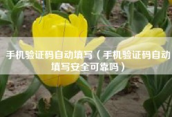 手机验证码自动填写（手机验证码自动填写安全可靠吗）