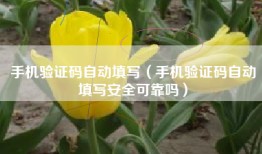 手机验证码自动填写（手机验证码自动填写安全可靠吗）