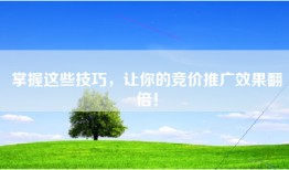 掌握这些技巧，让你的竞价推广效果翻倍！