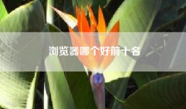 浏览器哪个好前十名