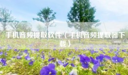 手机音频提取软件（手机音频提取器下载）