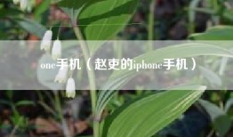 one手机（赵吏的iphone手机）