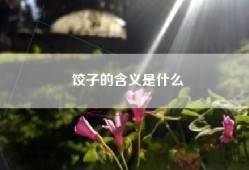 饺子的含义是什么