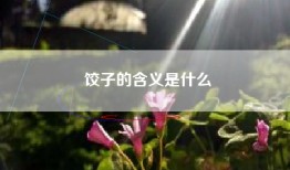 饺子的含义是什么