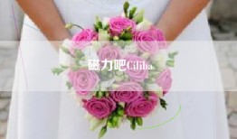 磁力吧Ciliba