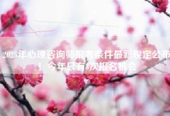 2025年心理咨询师报考条件最新规定公布！今年只有3次报名机会