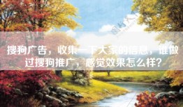 搜狗广告，收集一下大家的信息，谁做过搜狗推广，感觉效果怎么样？