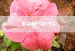 自媒体人气排行榜