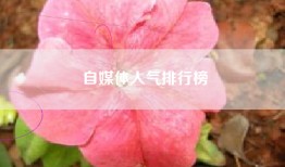 自媒体人气排行榜