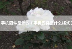 手机固件是什么（手机固件是什么格式）