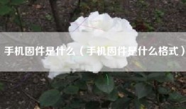 手机固件是什么（手机固件是什么格式）
