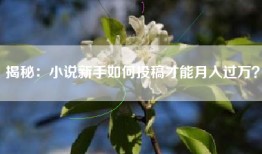 揭秘：小说新手如何投稿才能月入过万？