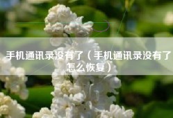 手机通讯录没有了（手机通讯录没有了怎么恢复）